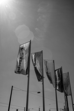Photo en noir et blanc des drapeaux de l'événement Beyond Tellerand